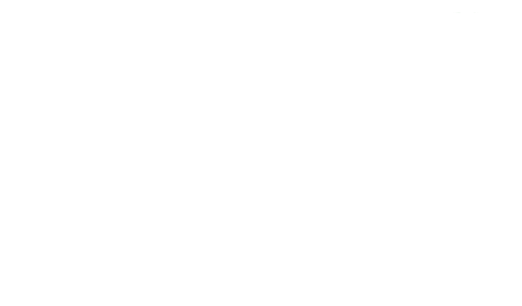 Car ordering process
